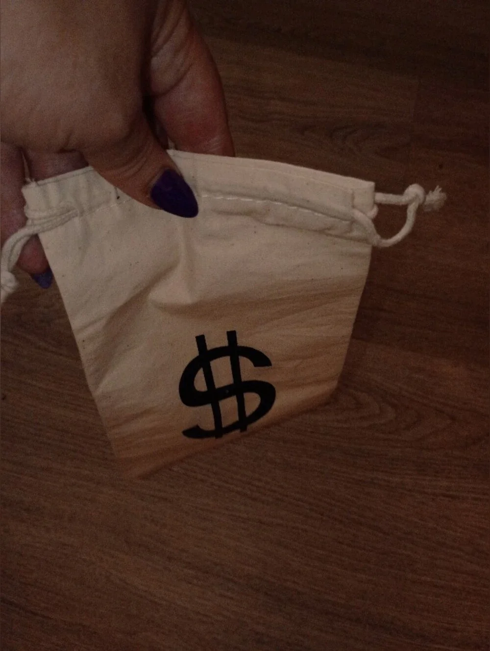 Canvas Drawstring Money Bag - Natural with Black Dollar Print